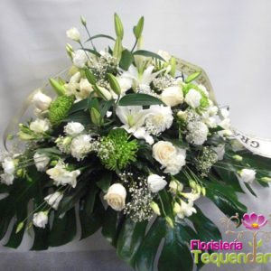 Cubre Cajon  Clasico