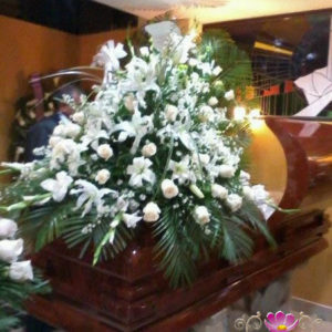 Cubre Cajón Presidencial