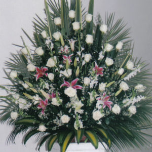 Diseño Pie Elegante