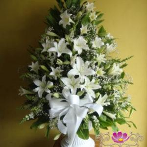 Diseño Pie de Lirios