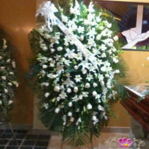 Pedestal Presidencial