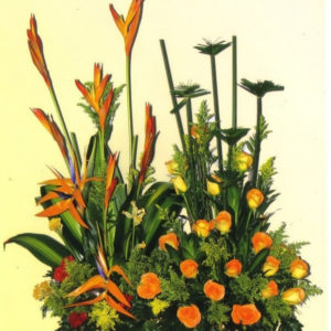 Exótico Florido