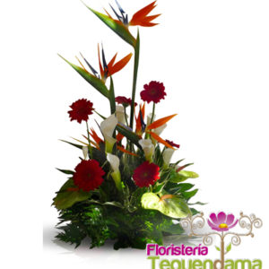 Exótico Oriente