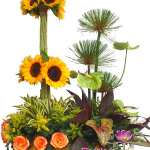 Exotico Girasoles
