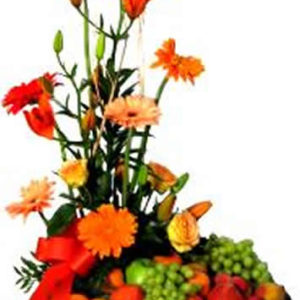 Frutero Orange