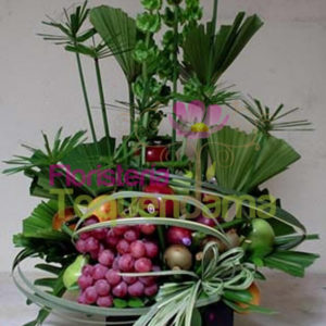 Frutero Tropico