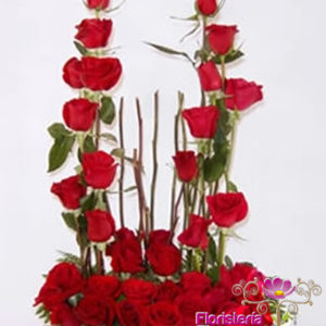 Inspiración de Amor