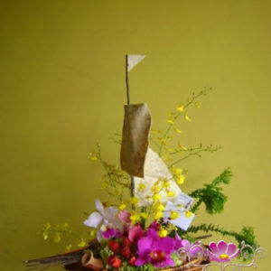 Orquídea Barco Velero