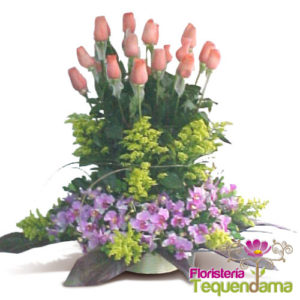 Orquideas Rosas Sembrado