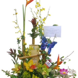 Orquídeas para El